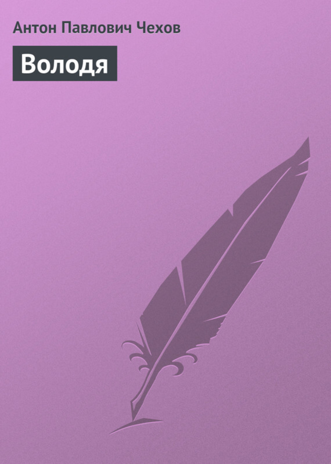 Обложка книги «Володя»
