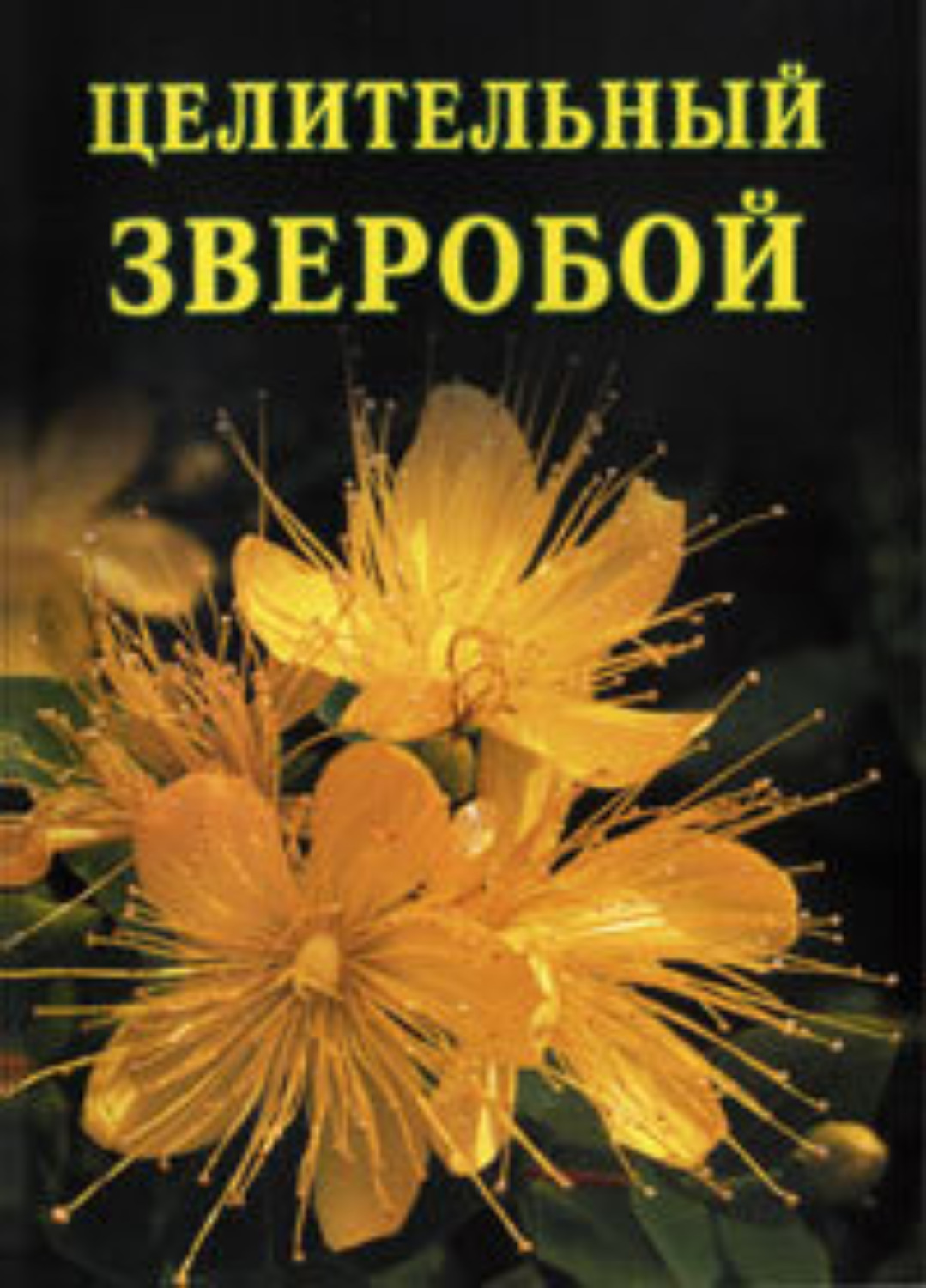 Обложка книги «Целительный зверобой»