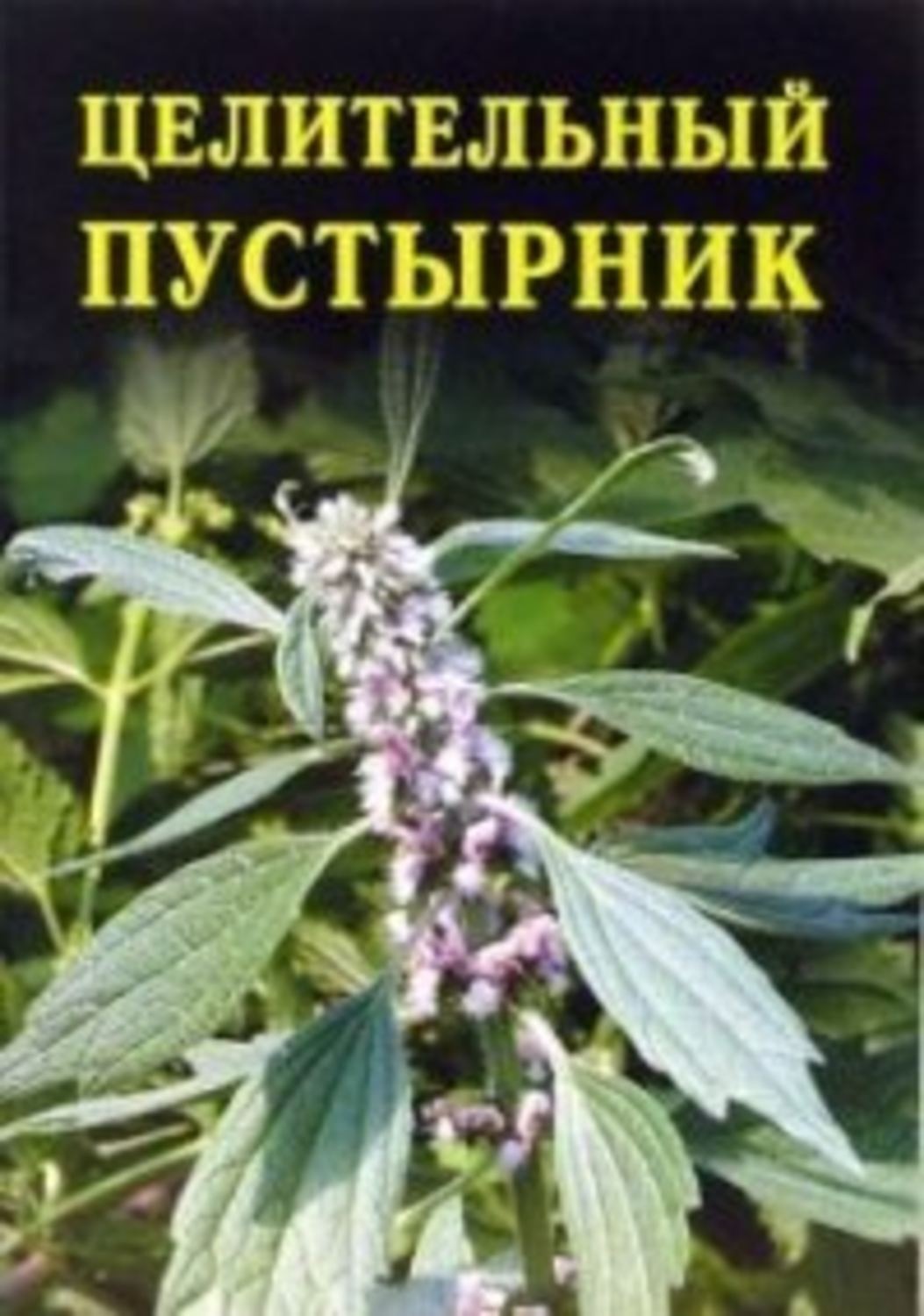 Обложка книги «Целительный пустырник»