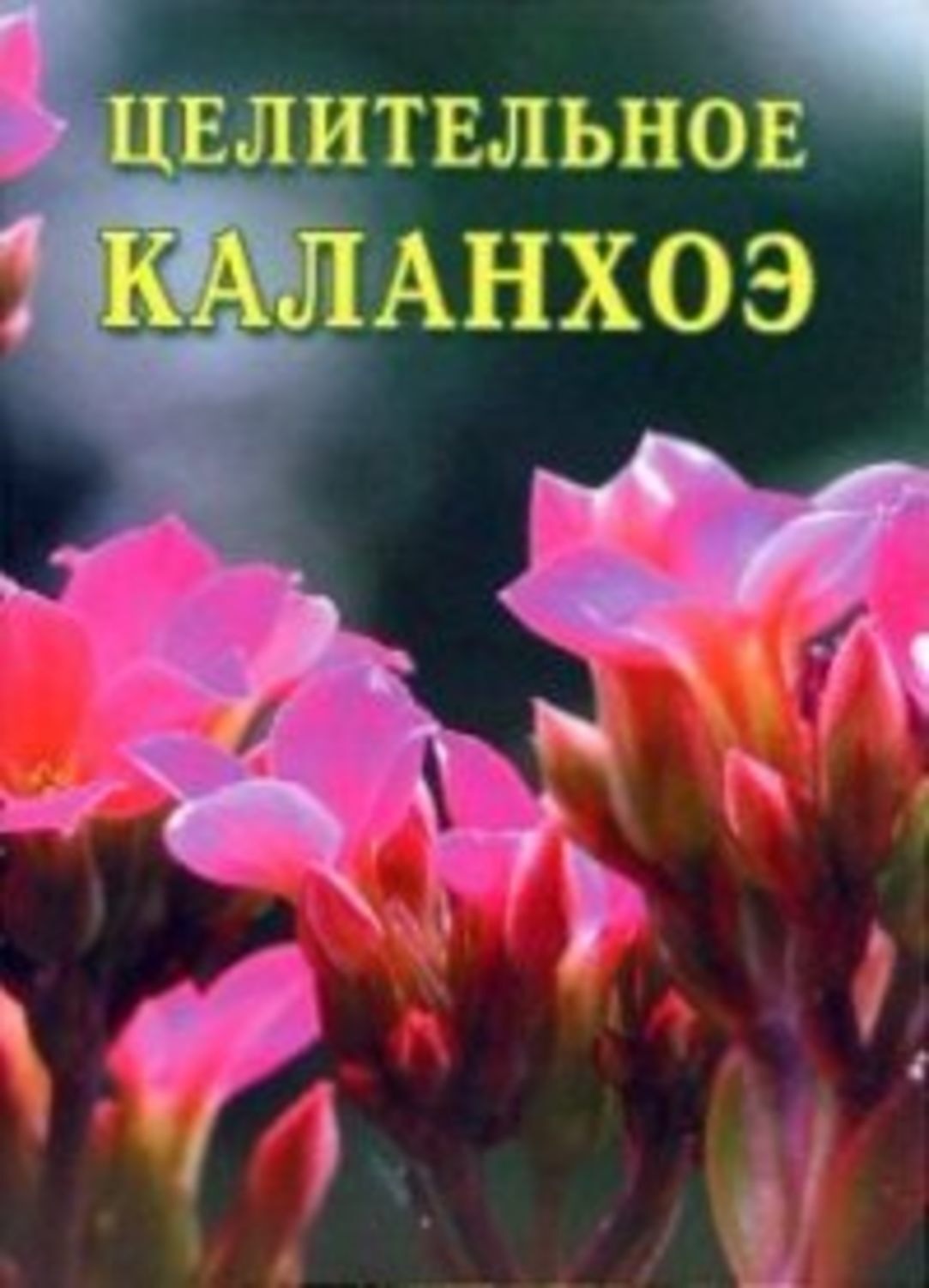 Обложка книги «Целительное каланхоэ»