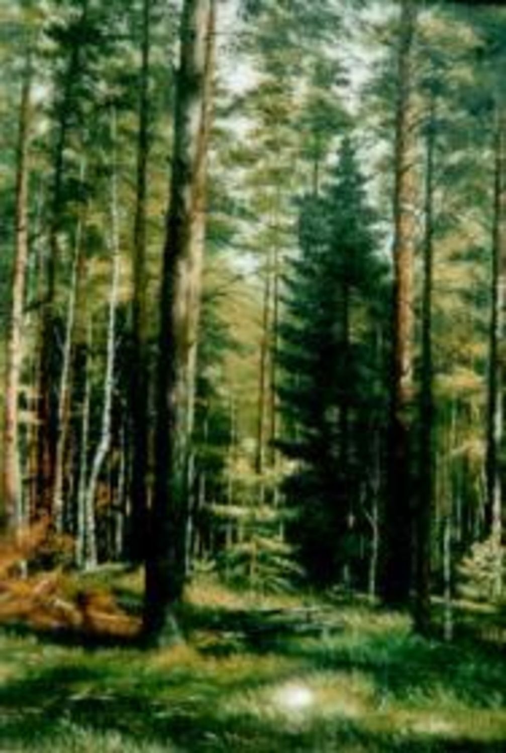 Обложка книги «Лес – кормилец»