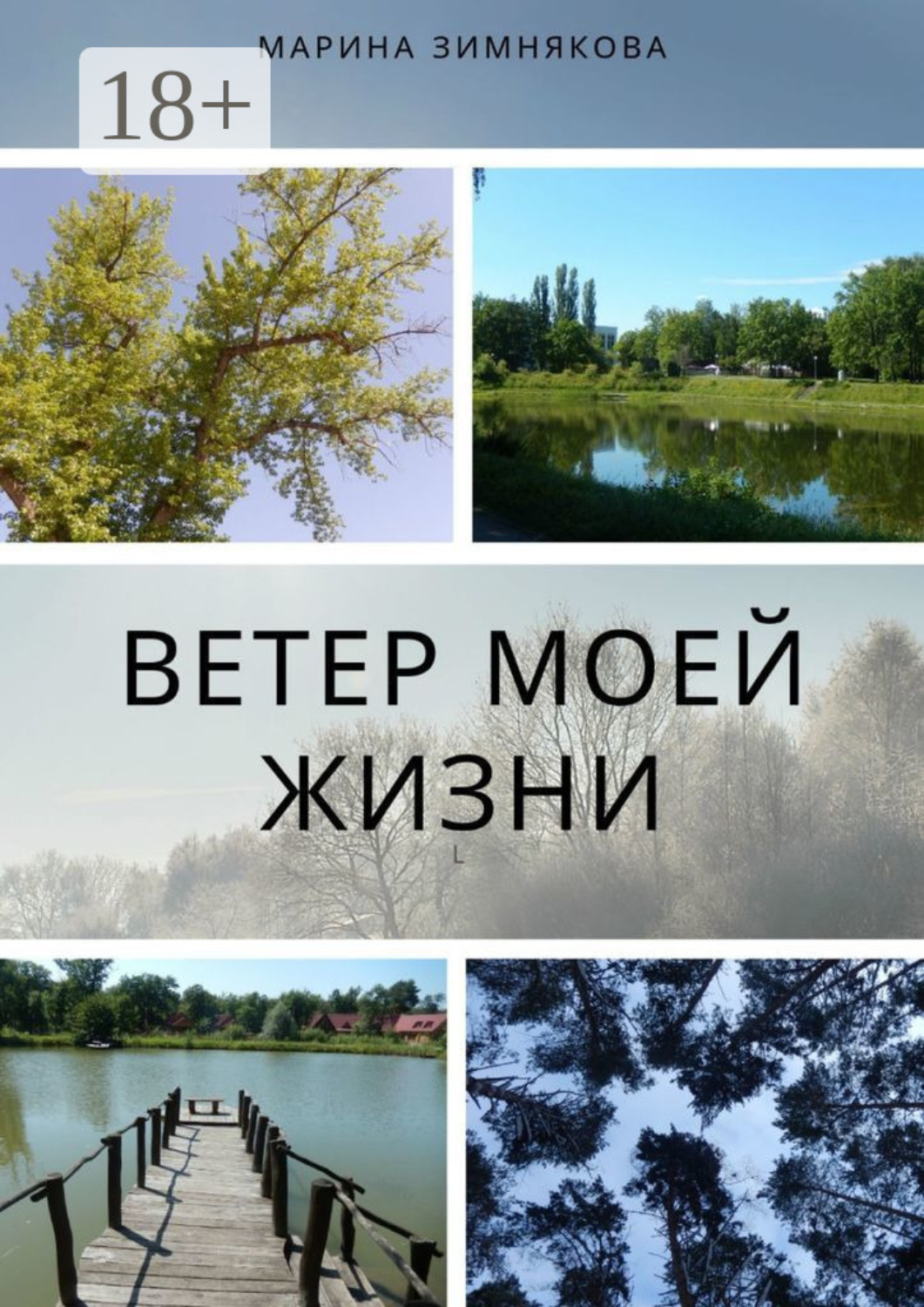 Обложка книги «Ветер моей жизни»