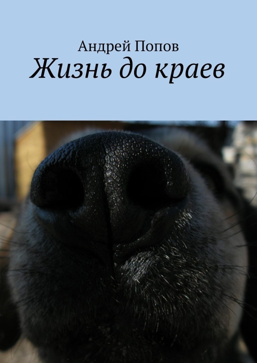 Обложка книги «Жизнь до краев»