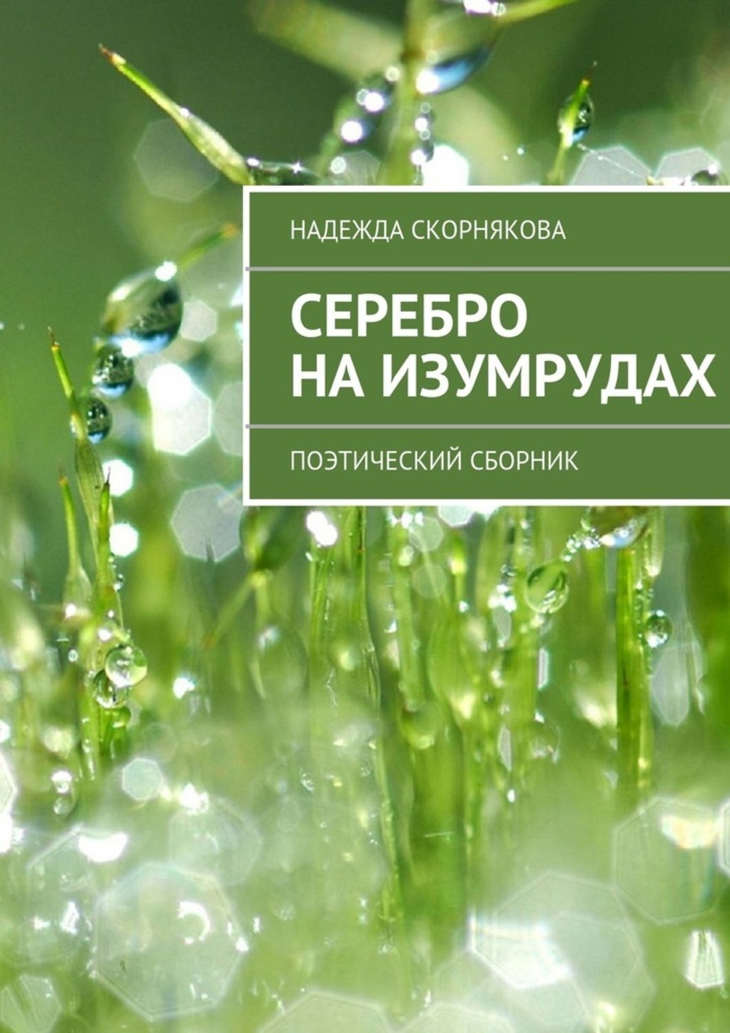 Обложка книги «Серебро на изумрудах»