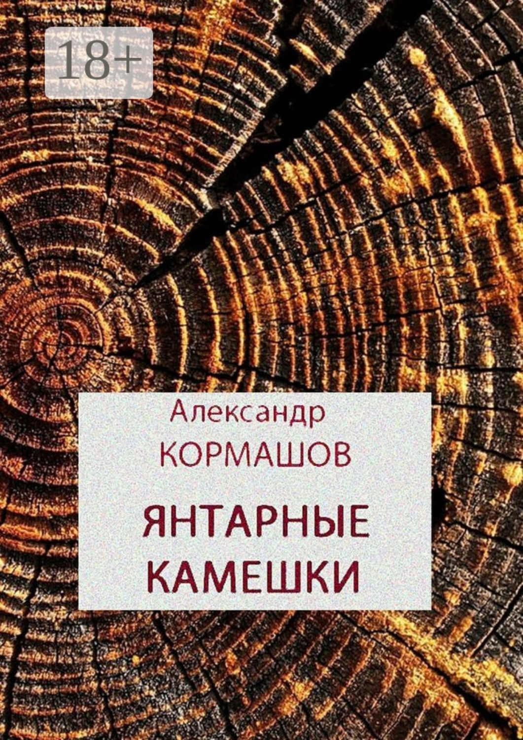 Обложка книги «Янтарные камешки. рассказы»