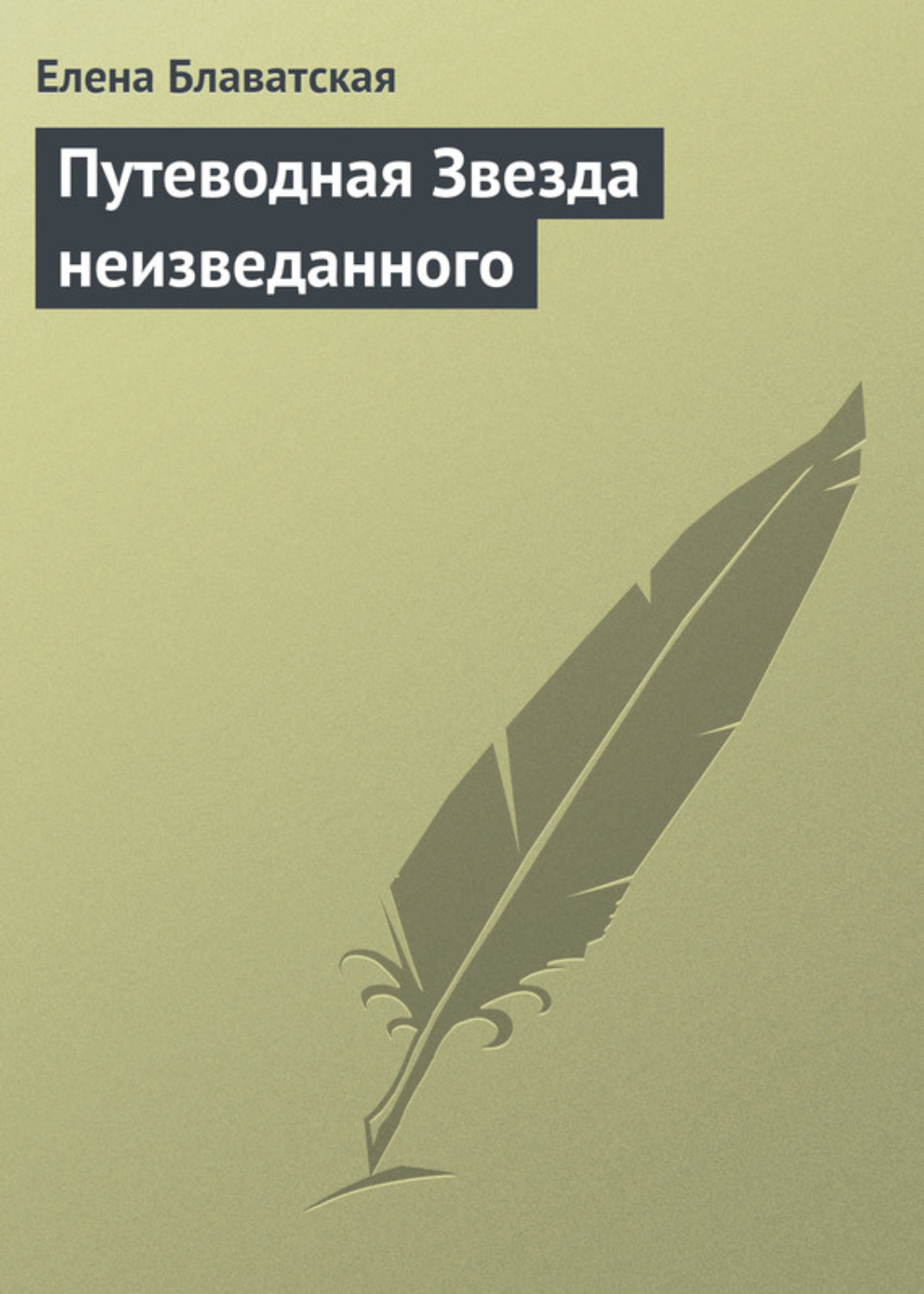 Обложка книги «Путеводная Звезда неизведанного»