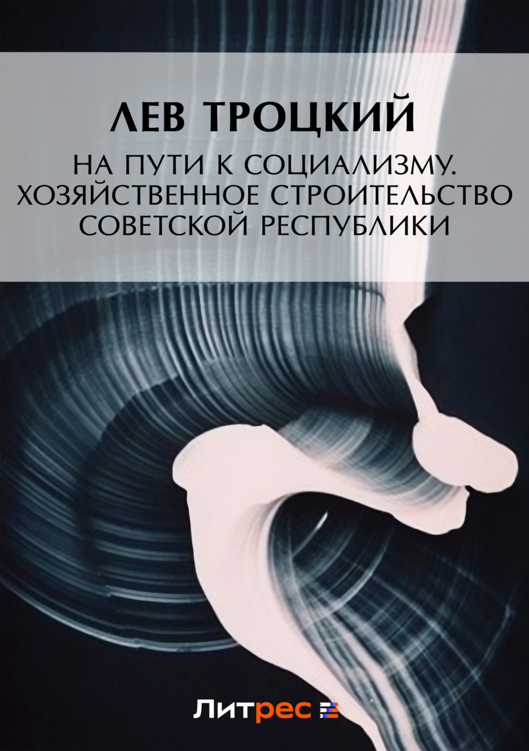 Обложка книги «На пути к социализму. Хозяйственное строительство Советской республики»
