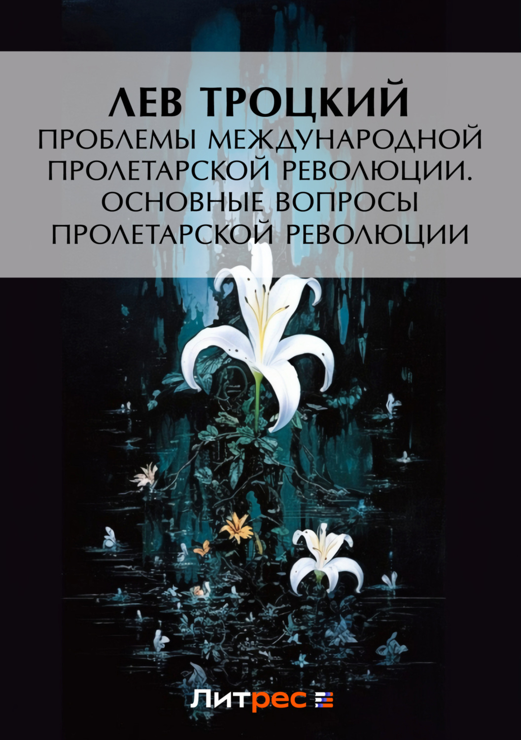 Обложка книги «Проблемы международной пролетарской революции. Основные вопросы пролетарской революции»