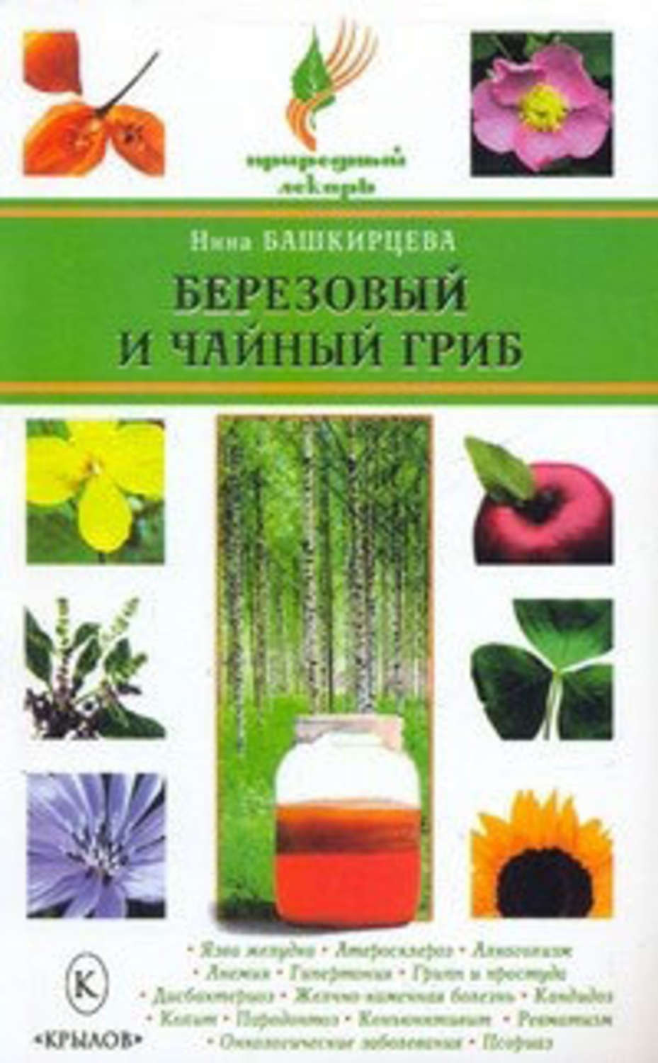 Обложка книги «Березовый и чайный гриб»