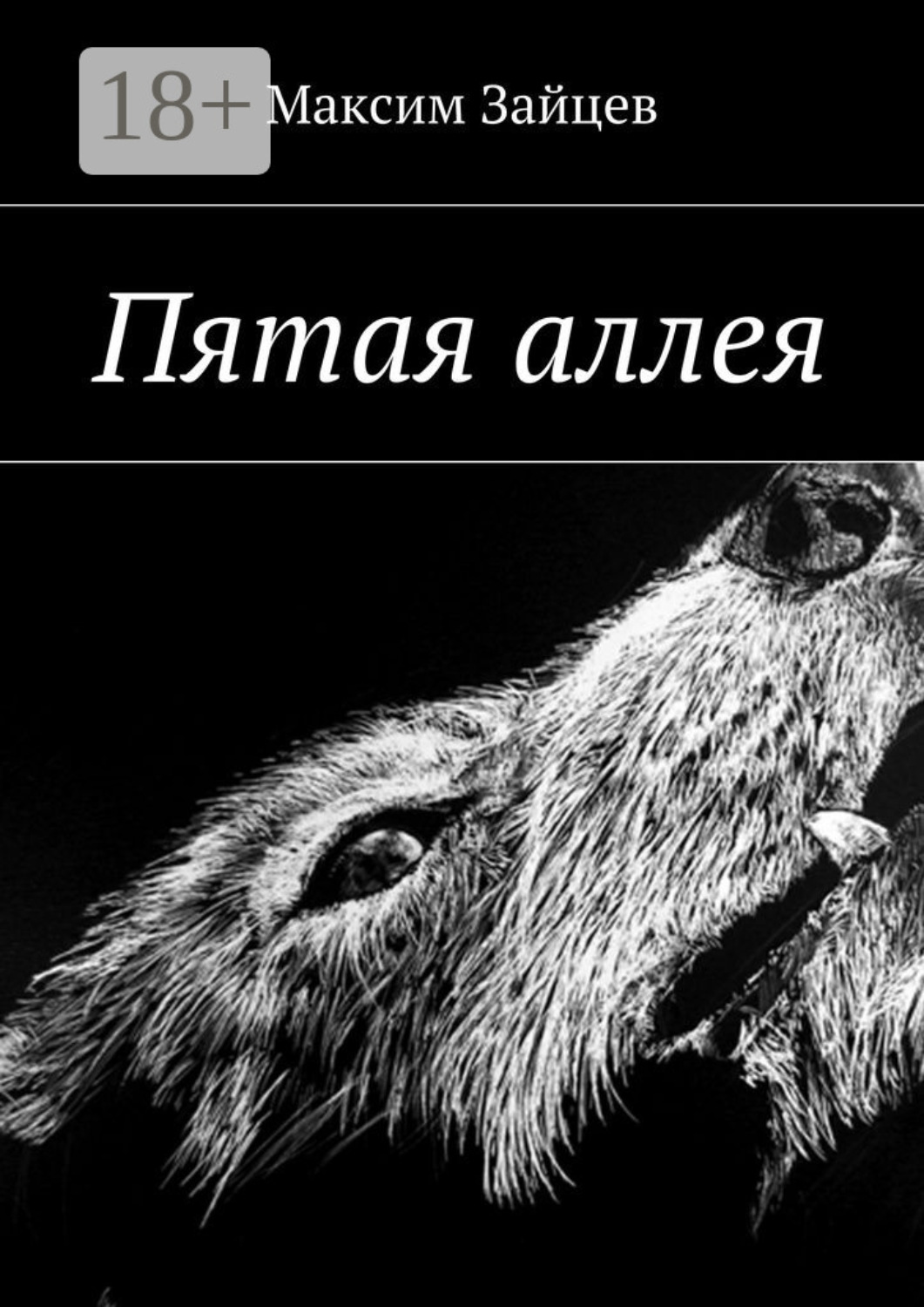 Обложка книги «Пятая аллея»