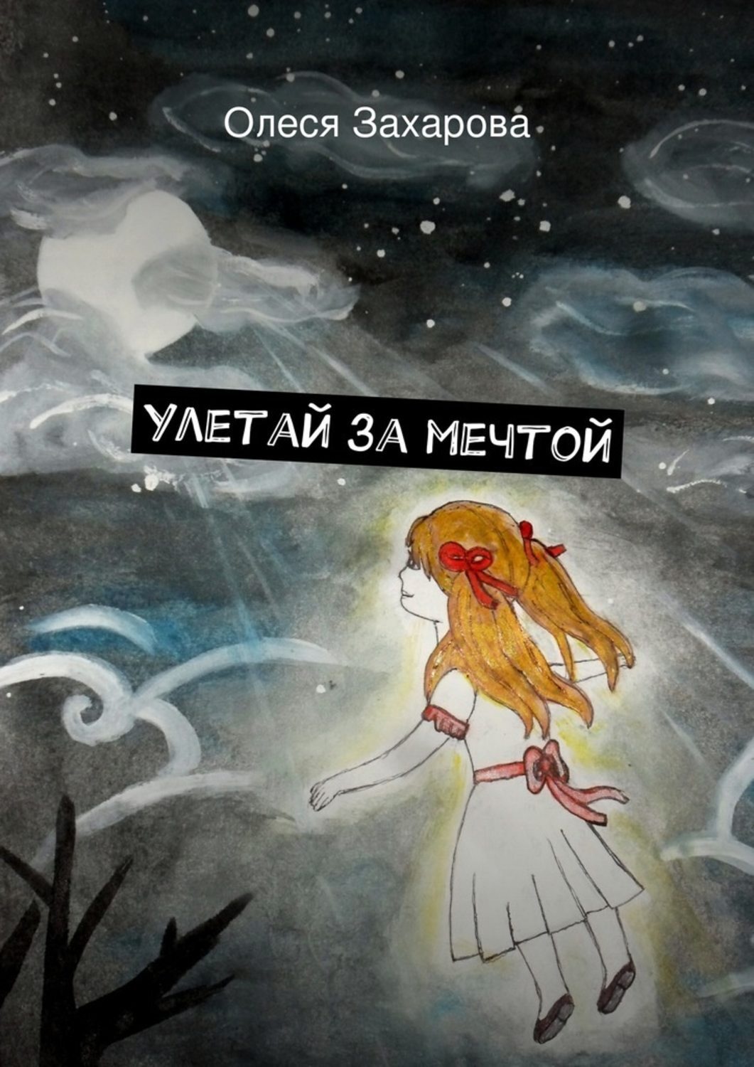 Обложка книги «Улетай за мечтой»