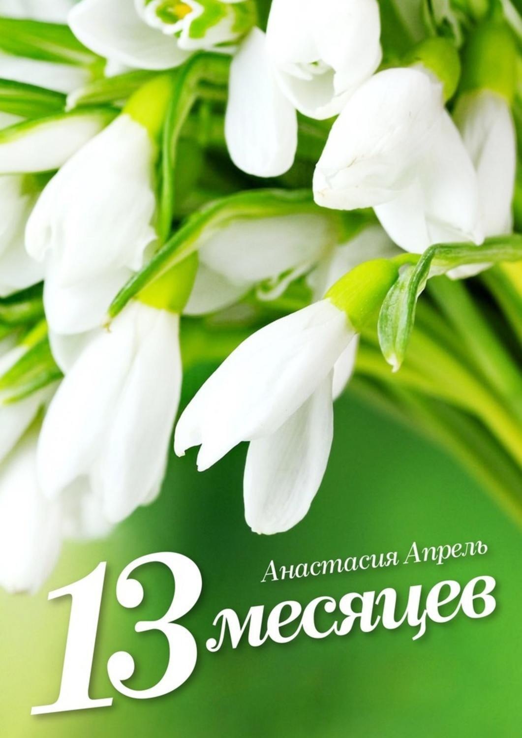 Обложка книги «13 месяцев»