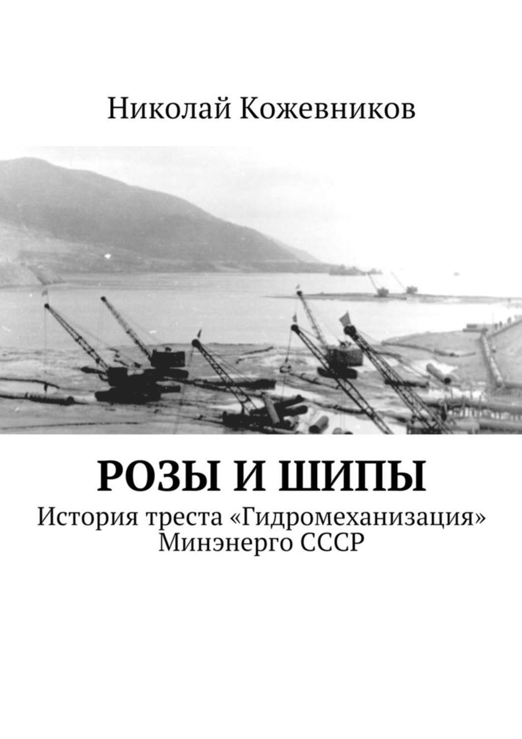 Обложка книги «Розы и шипы»