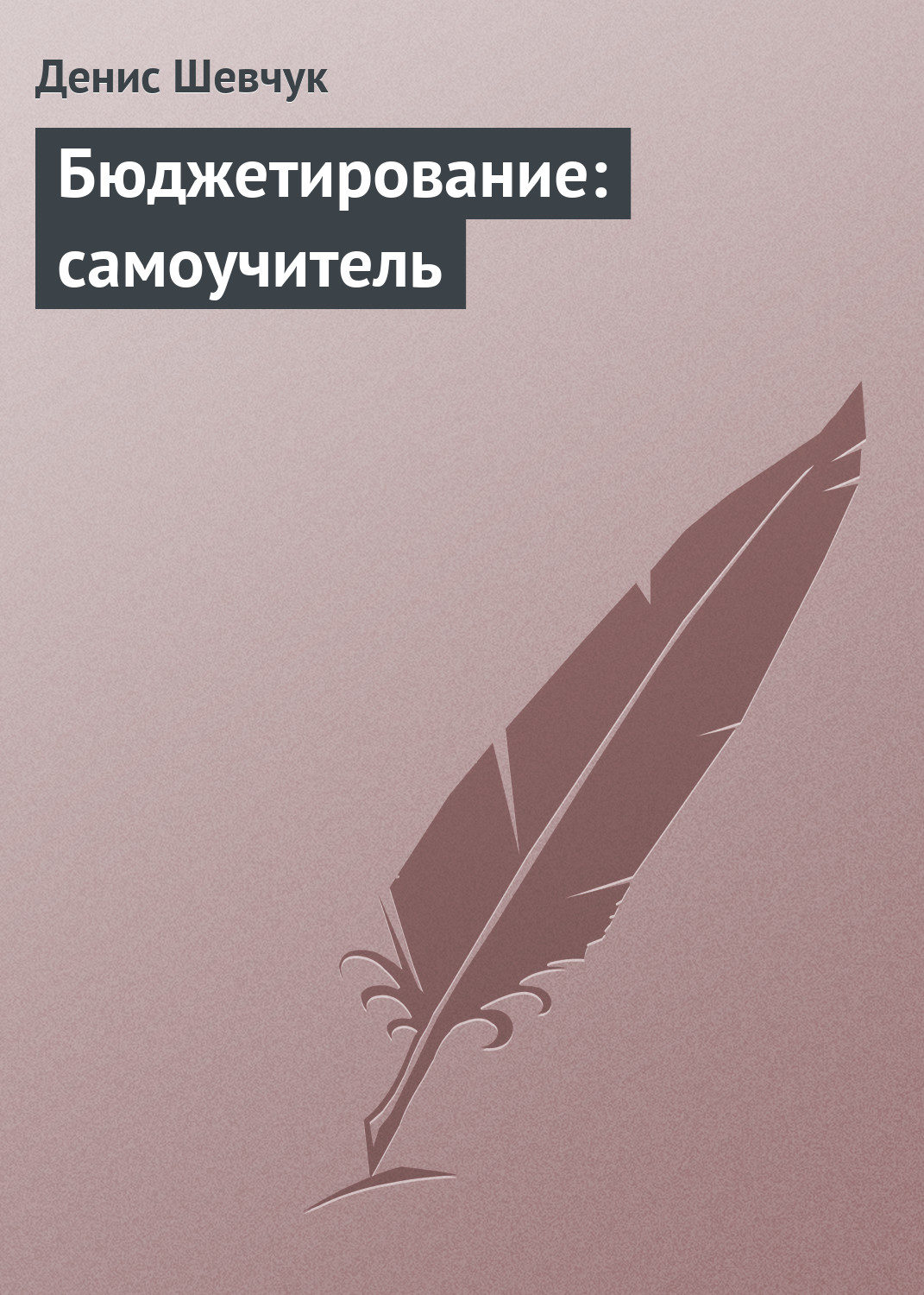 Обложка книги «Бюджетирование: самоучитель»