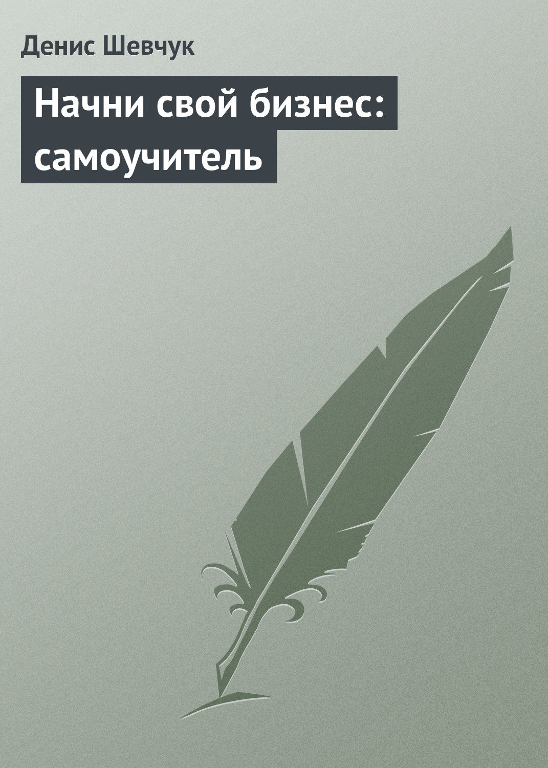 Обложка книги «Начни свой бизнес: самоучитель»