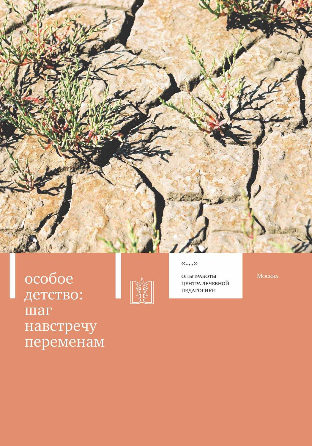 Обложка книги «Особое детство. Шаг навстречу переменам»