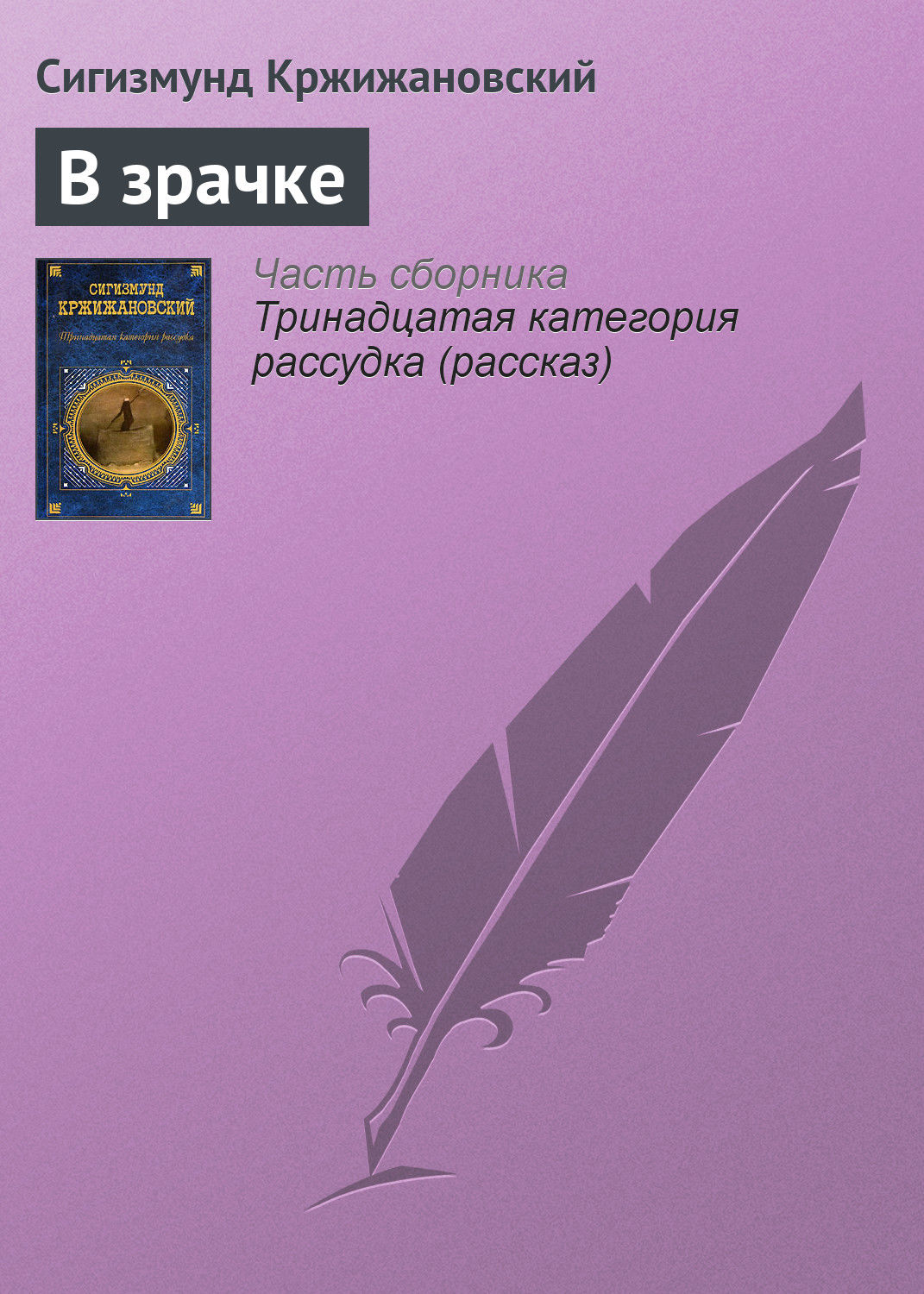 Обложка книги «В зрачке»