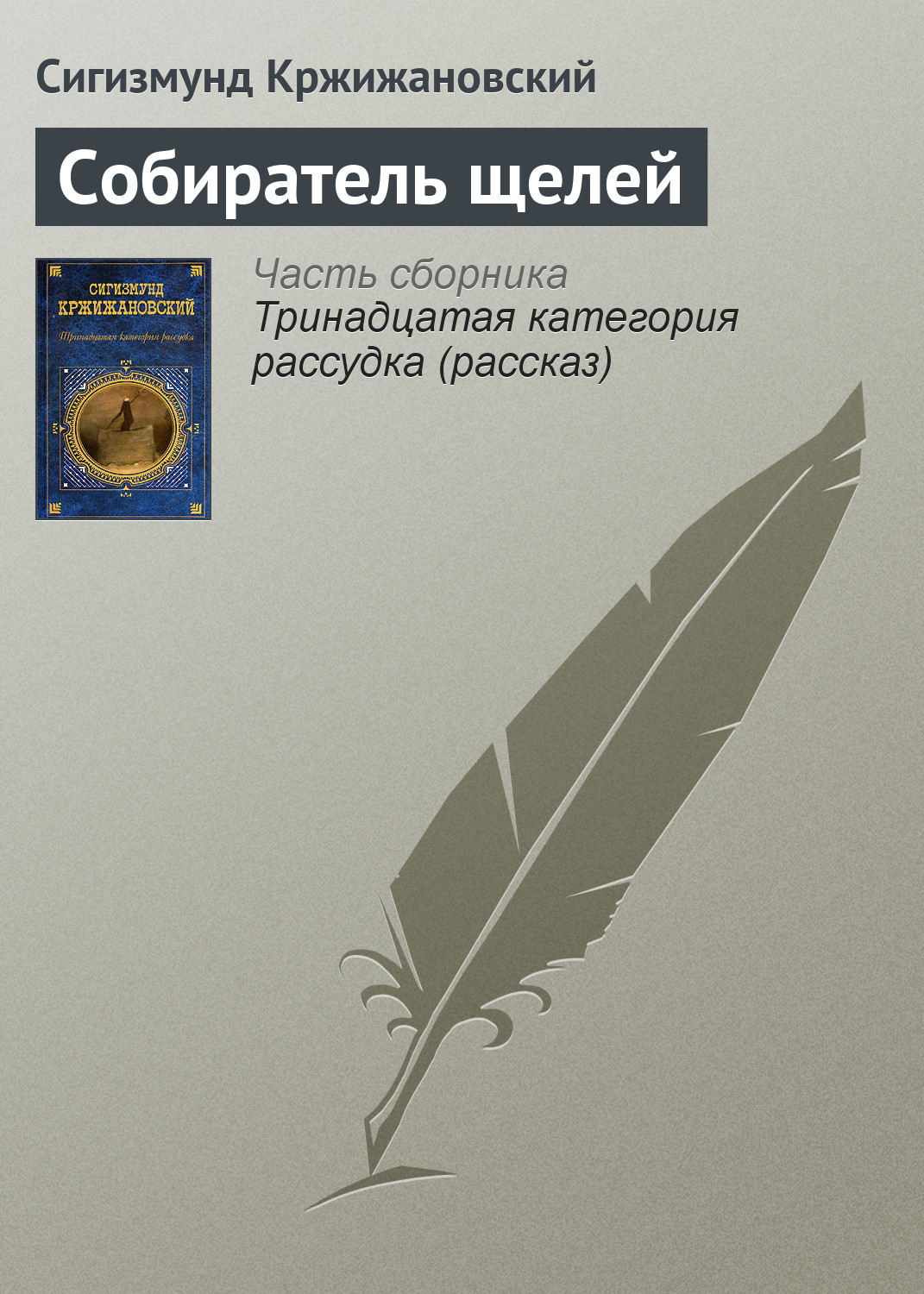 Обложка книги «Собиратель щелей»