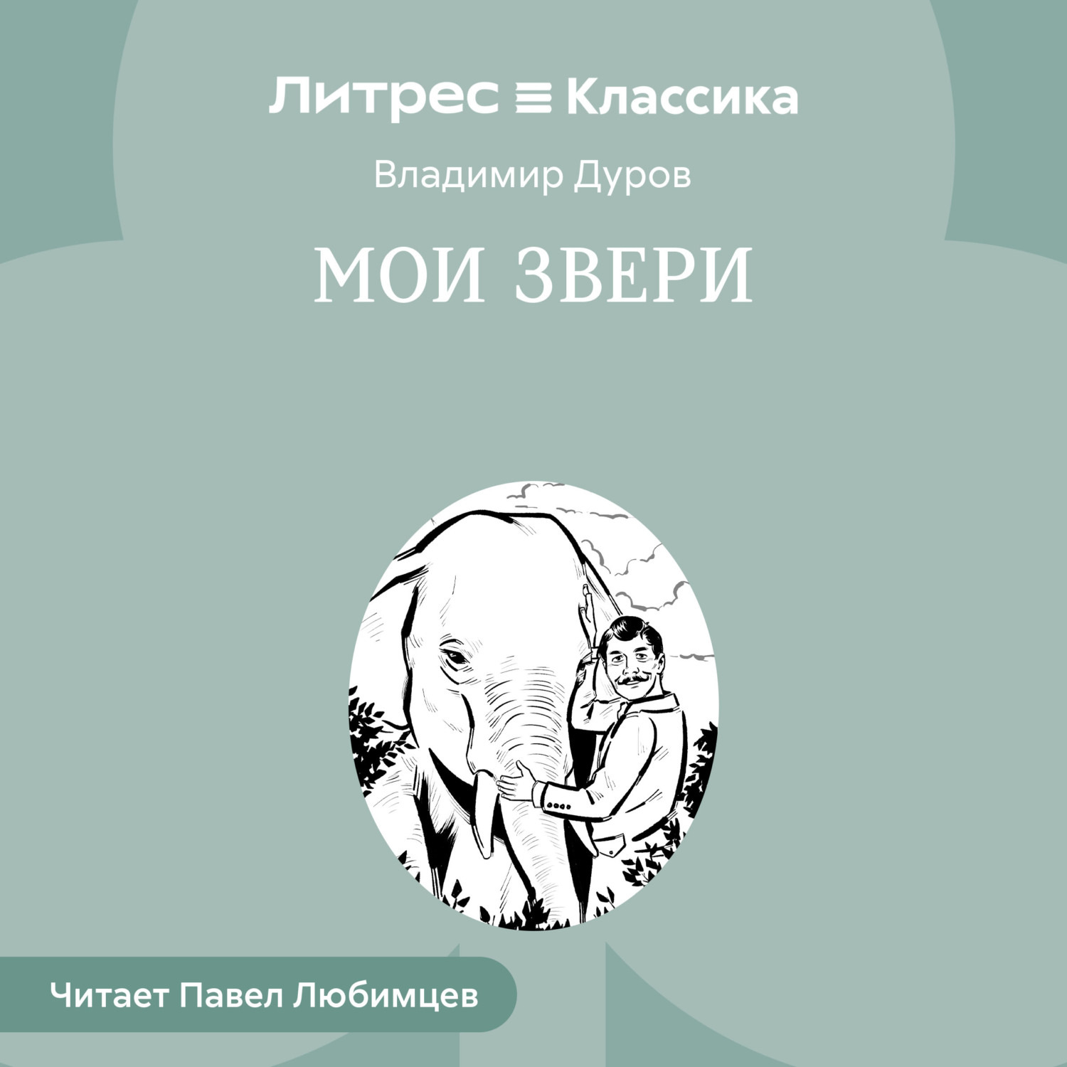 Обложка книги «Мои звери»