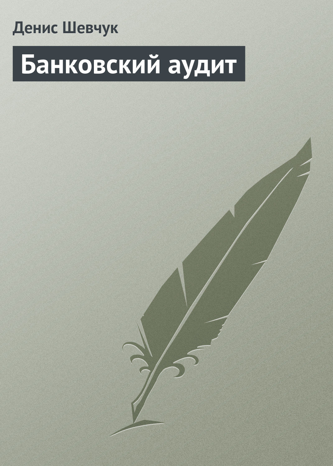 Обложка книги «Банковский аудит»