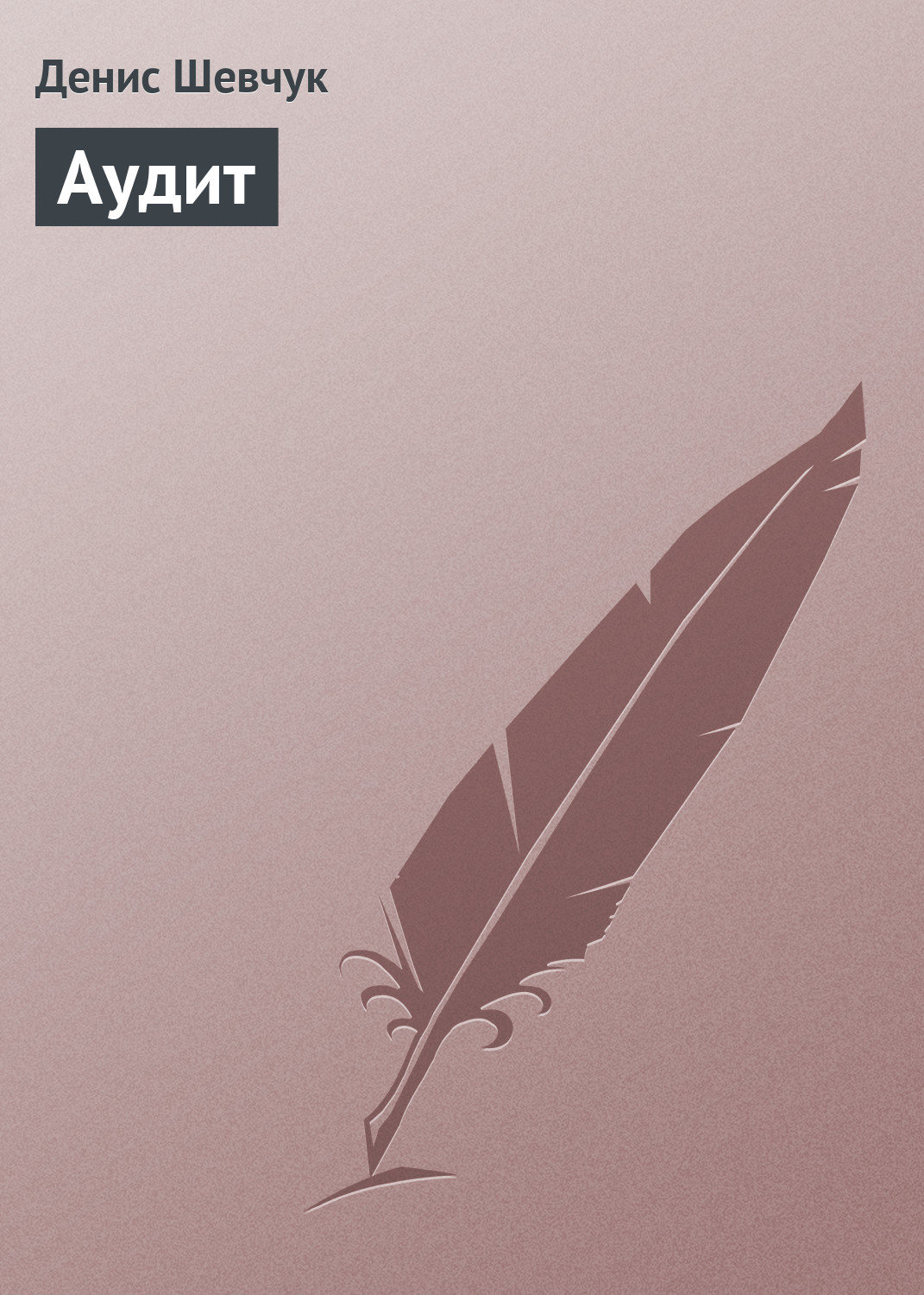 Обложка книги «Аудит»