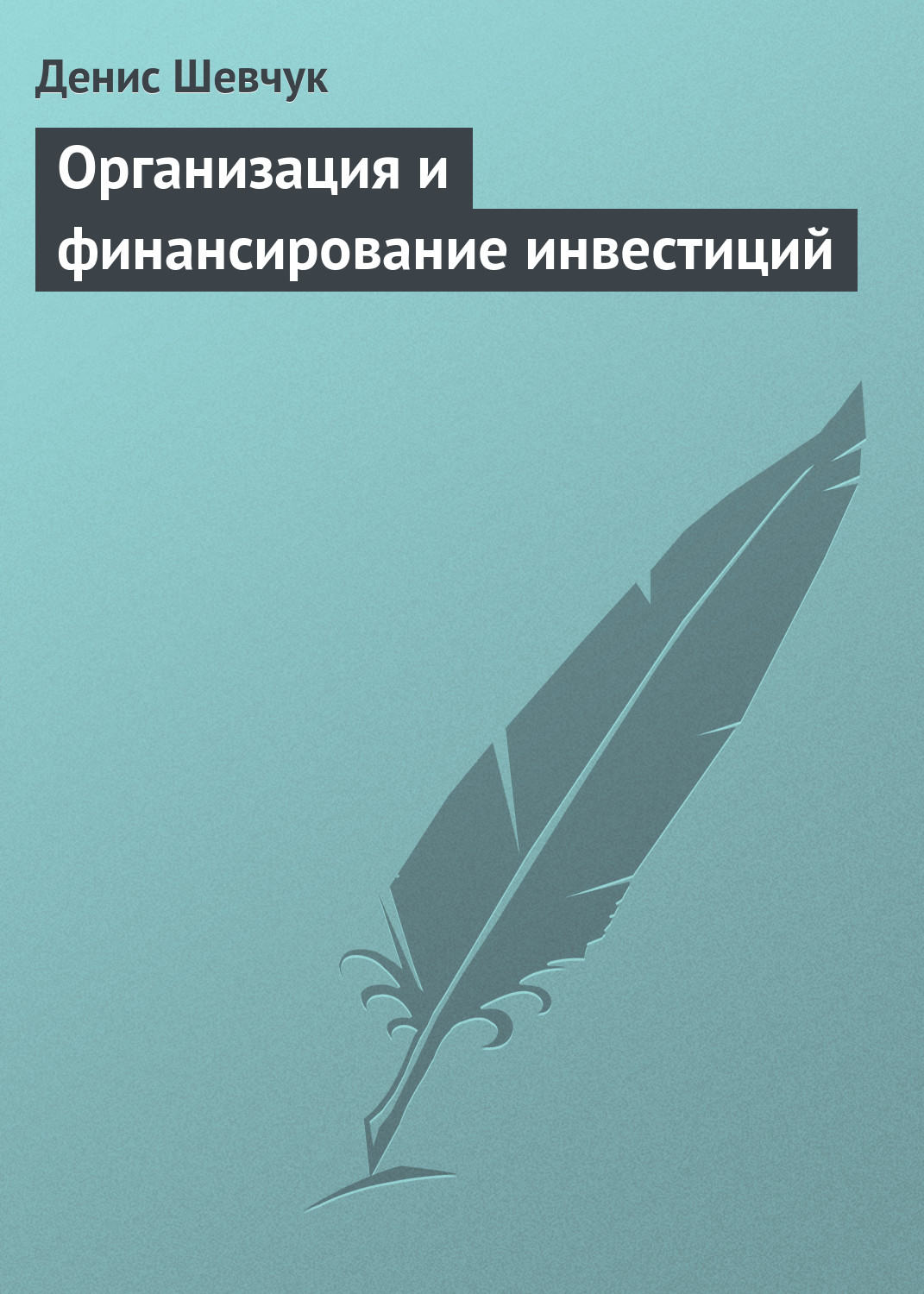 Обложка книги «Организация и финансирование инвестиций»