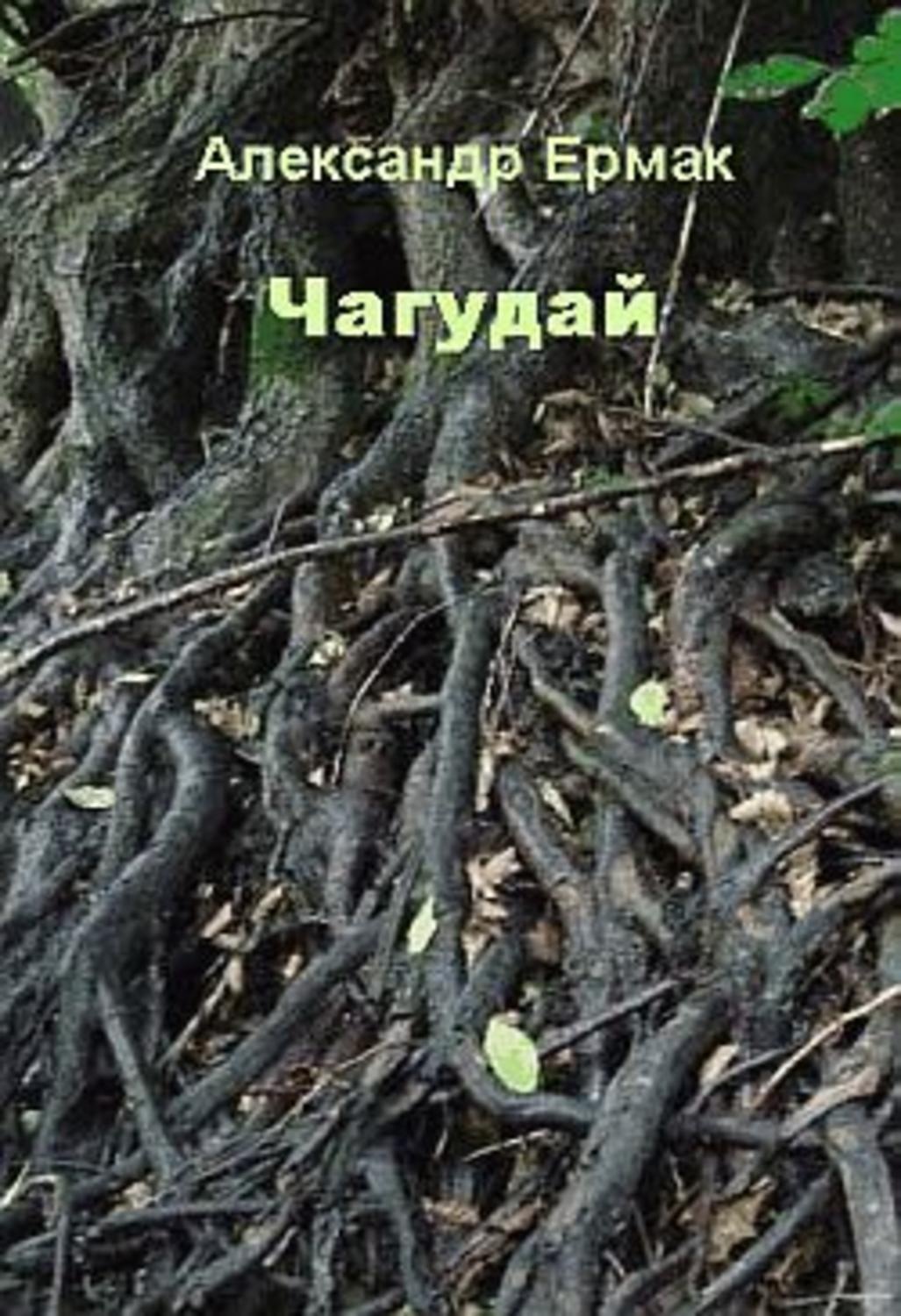 Обложка книги «Чагудай»