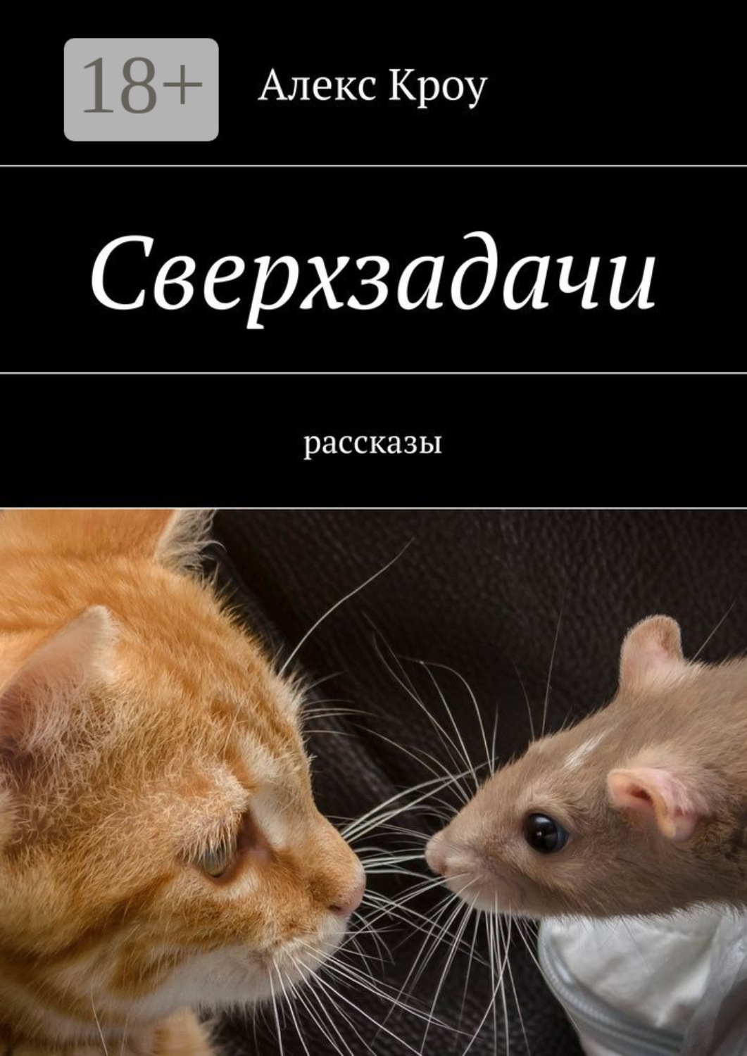 Обложка книги «Сверхзадачи. рассказы»