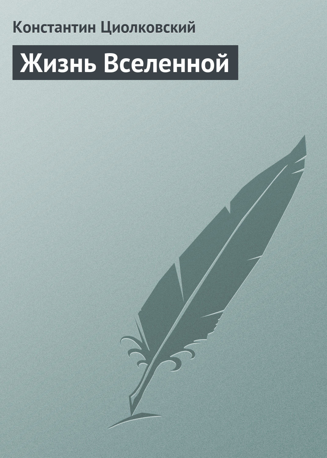 Обложка книги «Жизнь Вселенной»