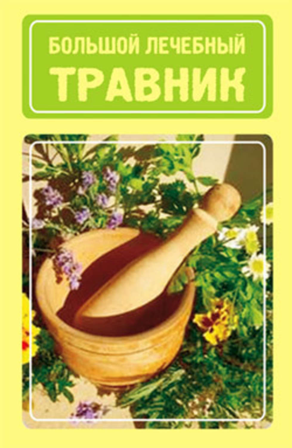 Обложка книги «Большой лечебный травник»