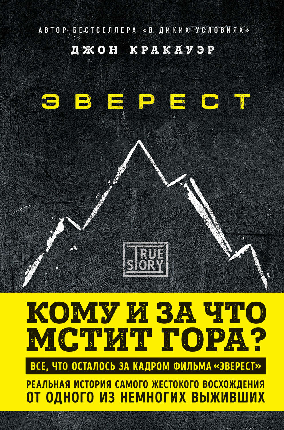 Обложка книги «Эверест. Кому и за что мстит гора?»