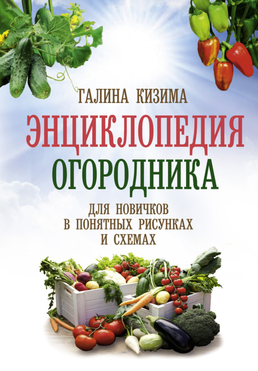 Обложка книги «Энциклопедия огородника для новичков в понятных рисунках и схемах. Увидел – повтори»