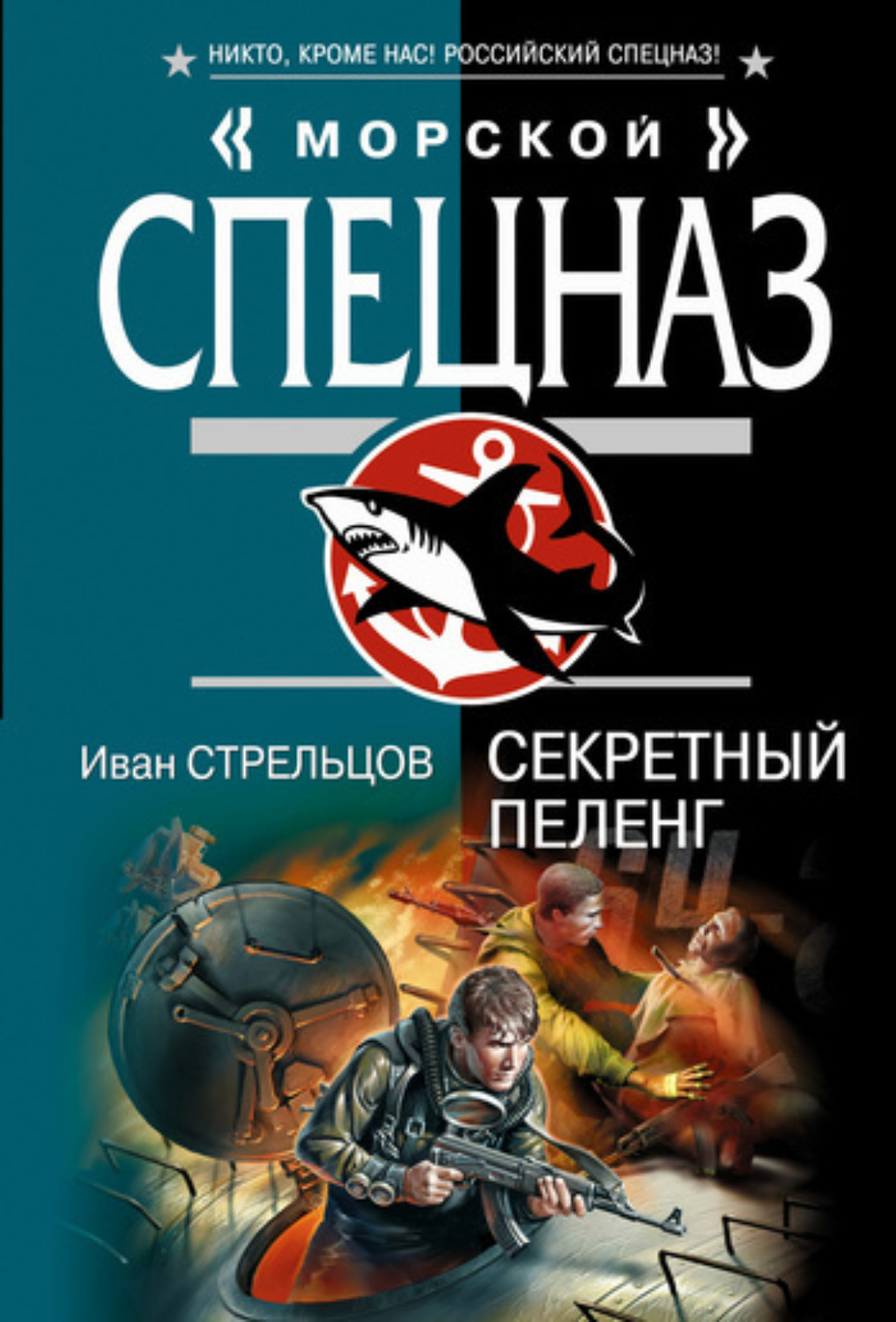 Обложка книги «Секретный пеленг»
