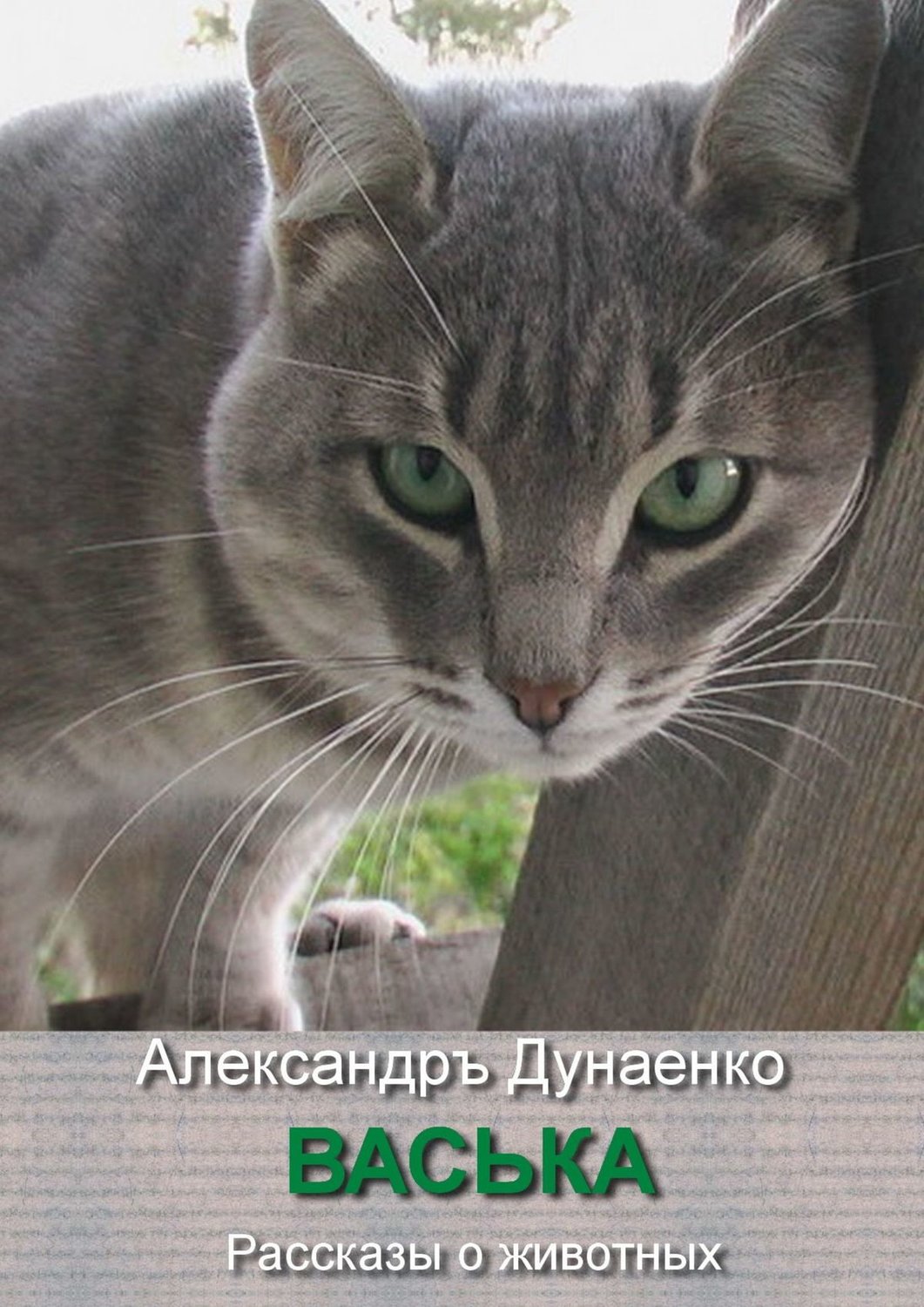 Обложка книги «Васька. Рассказы о животных»