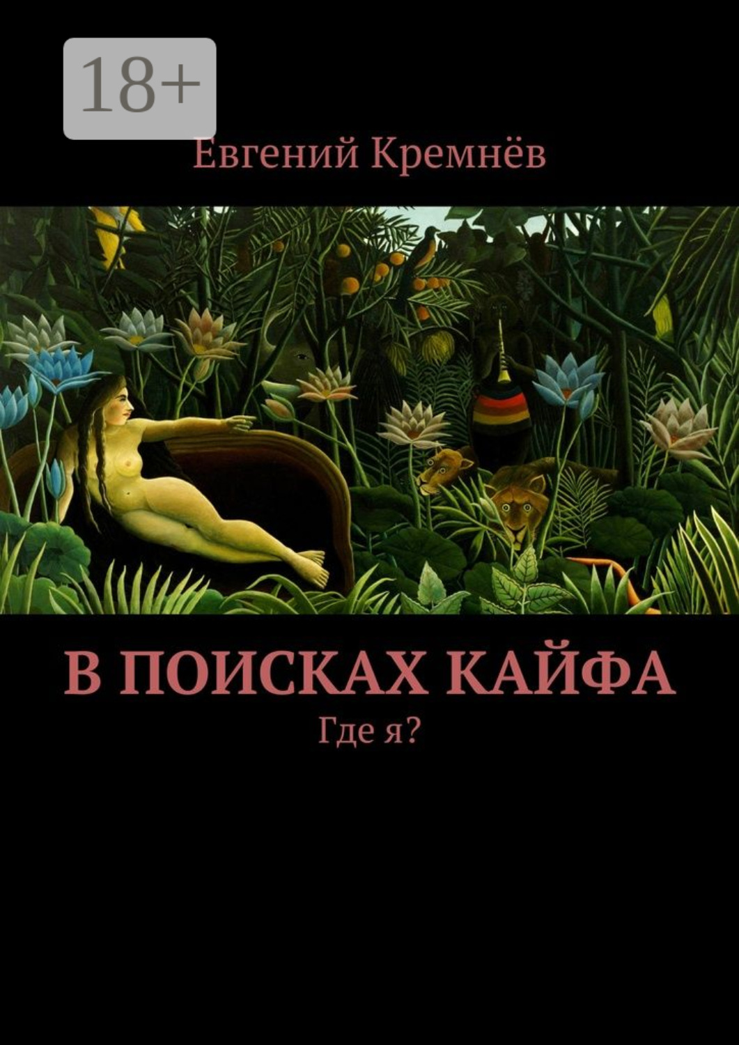 Обложка книги «В поисках кайфа. Где я?»