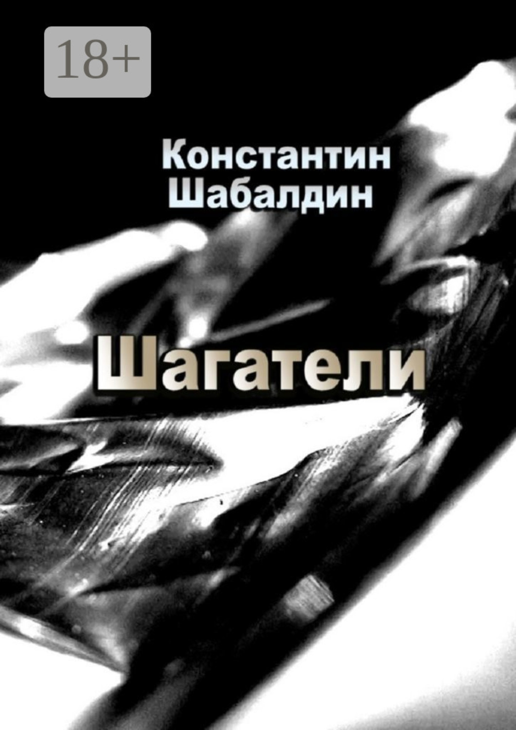Обложка книги «Шагатели. Книга первая»