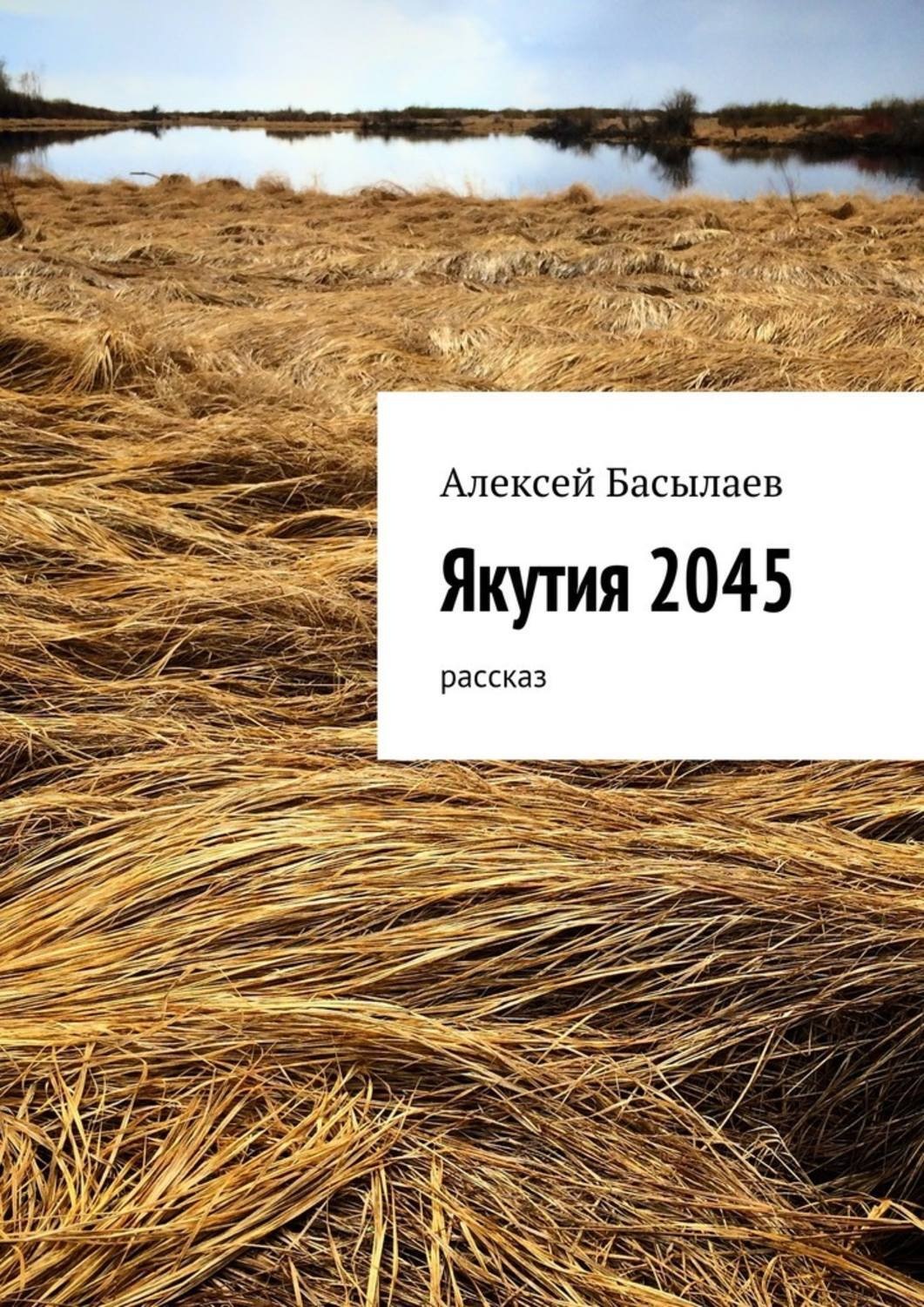 Обложка книги «Якутия 2045»