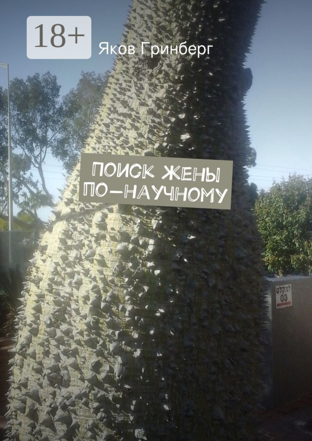 Обложка книги «Поиск жены по-научному»
