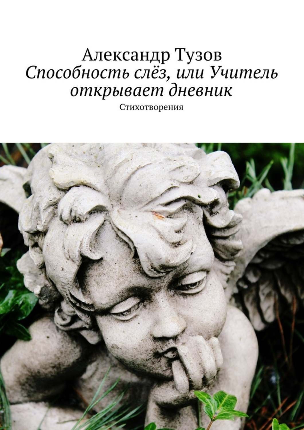 Обложка книги «Способность слёз, или Учитель открывает дневник»