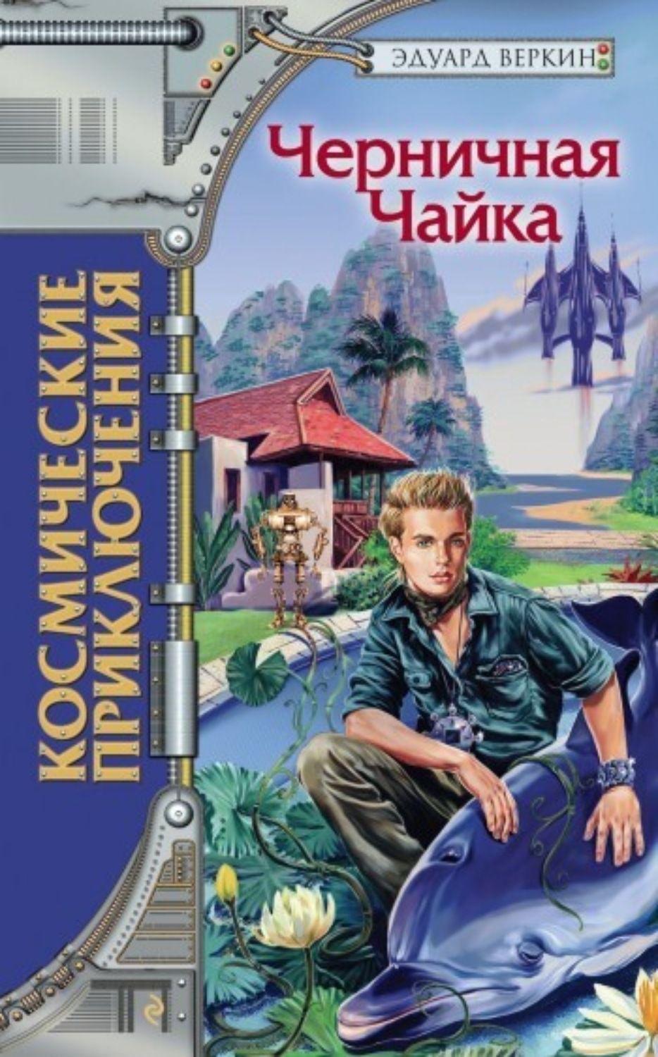Обложка книги «Черничная Чайка»