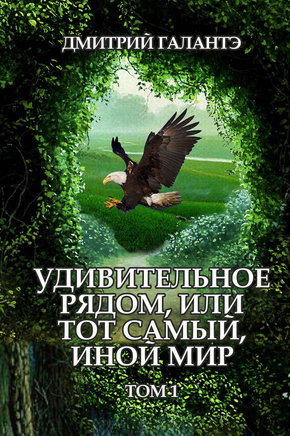 Обложка книги «Удивительное рядом, или тот самый, иной мир. Том 1»
