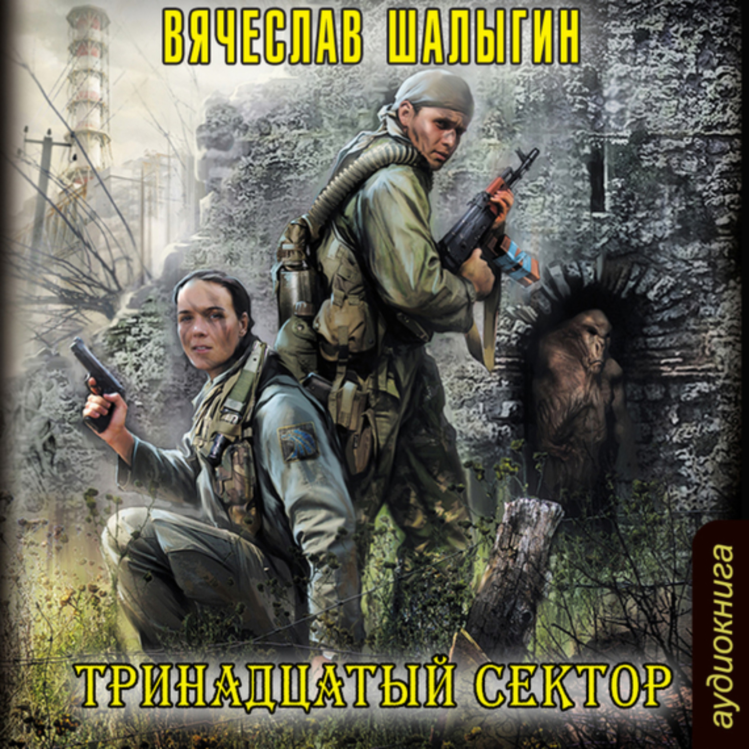 Обложка книги «Тринадцатый сектор»