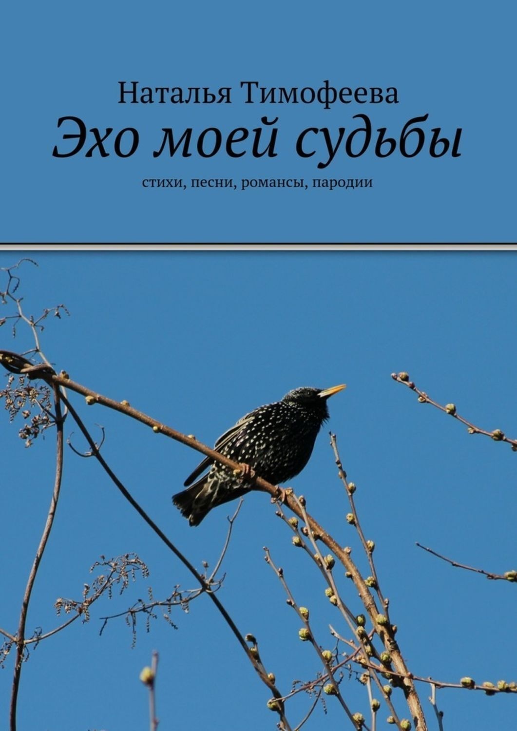 Обложка книги «Эхо моей судьбы»