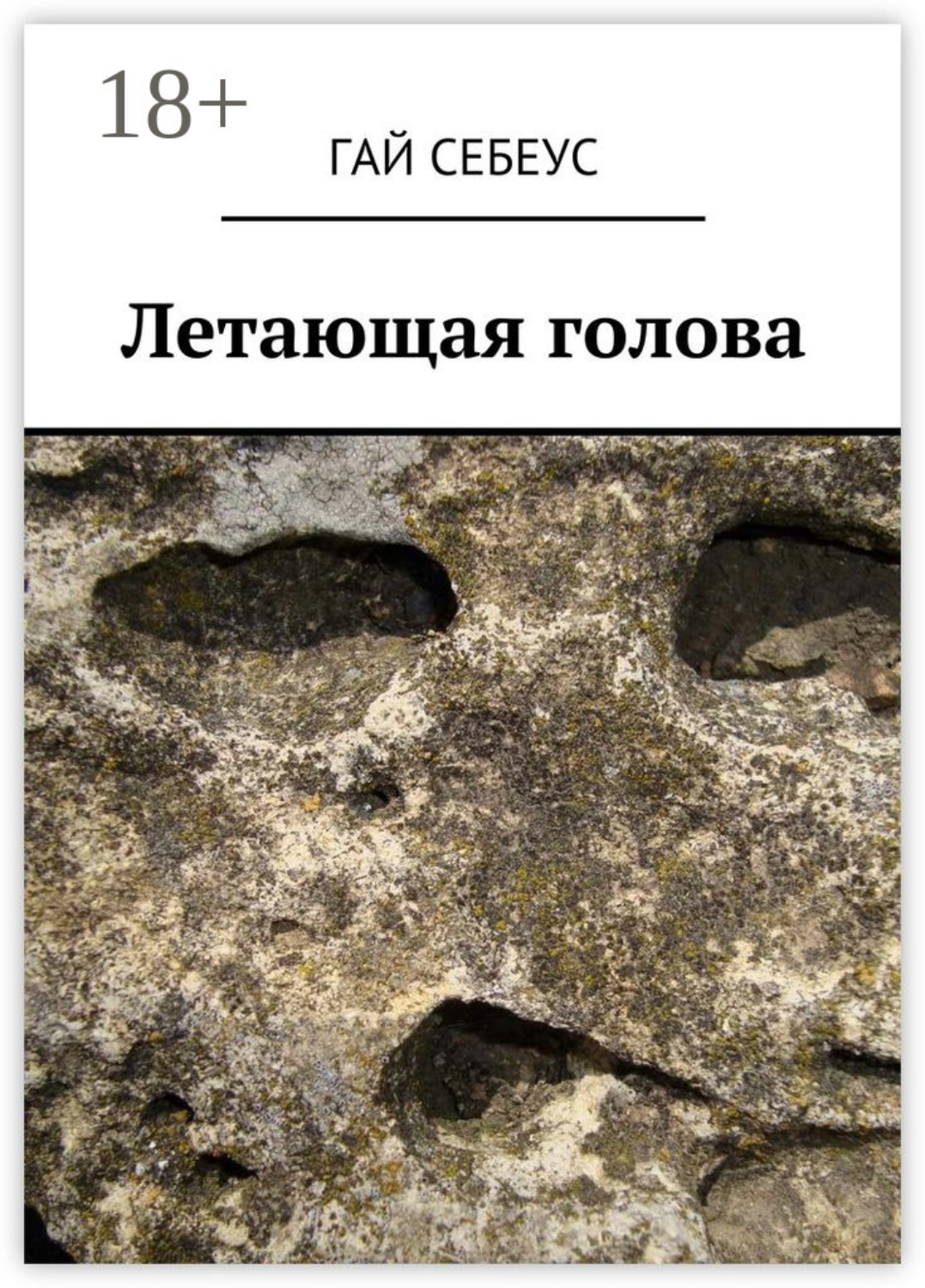 Обложка книги «Летающая голова»