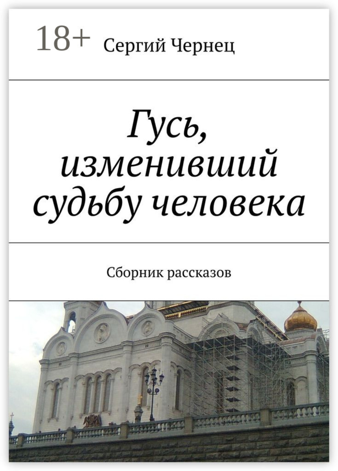 Обложка книги «Гусь, изменивший судьбу человека. Сборник рассказов»