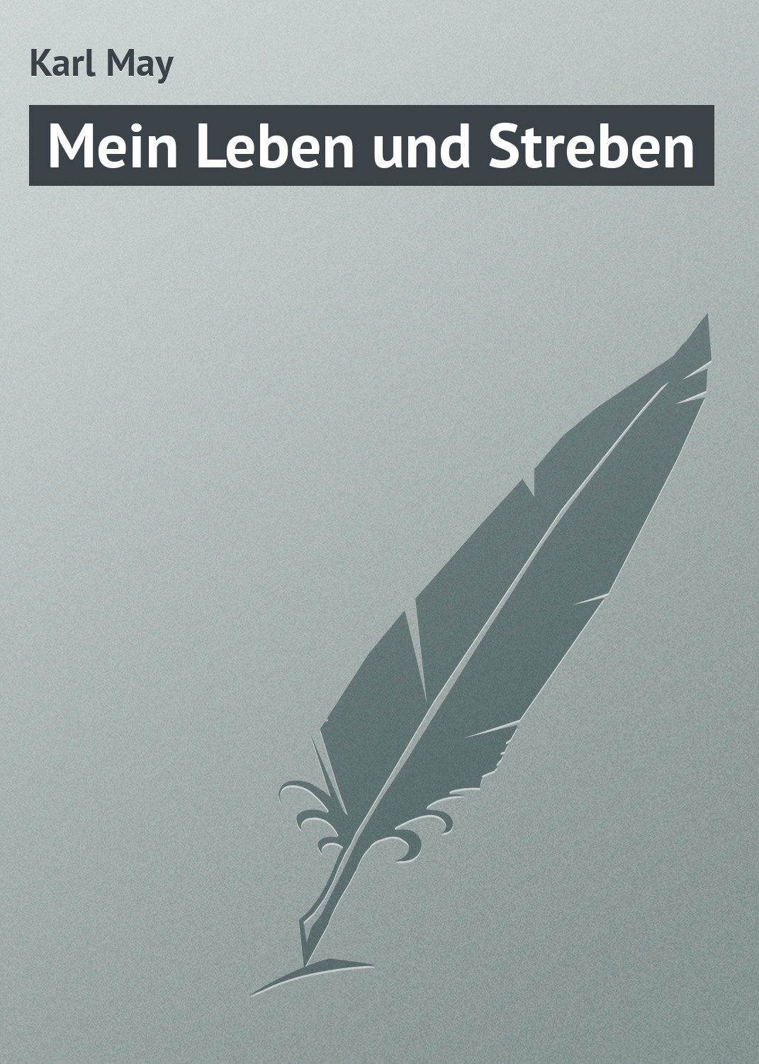 Обложка книги «Mein Leben und Streben»