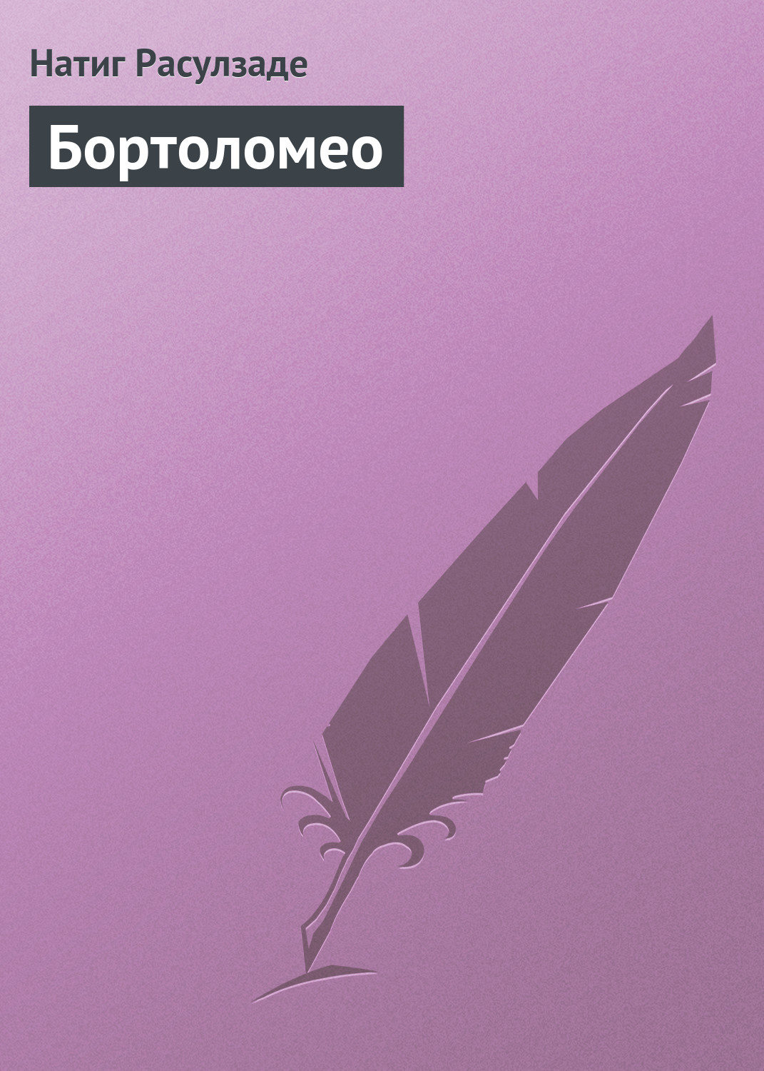 Обложка книги «Бортоломео»