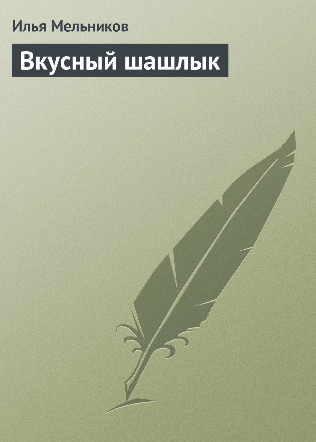 Обложка книги «Вкусный шашлык»