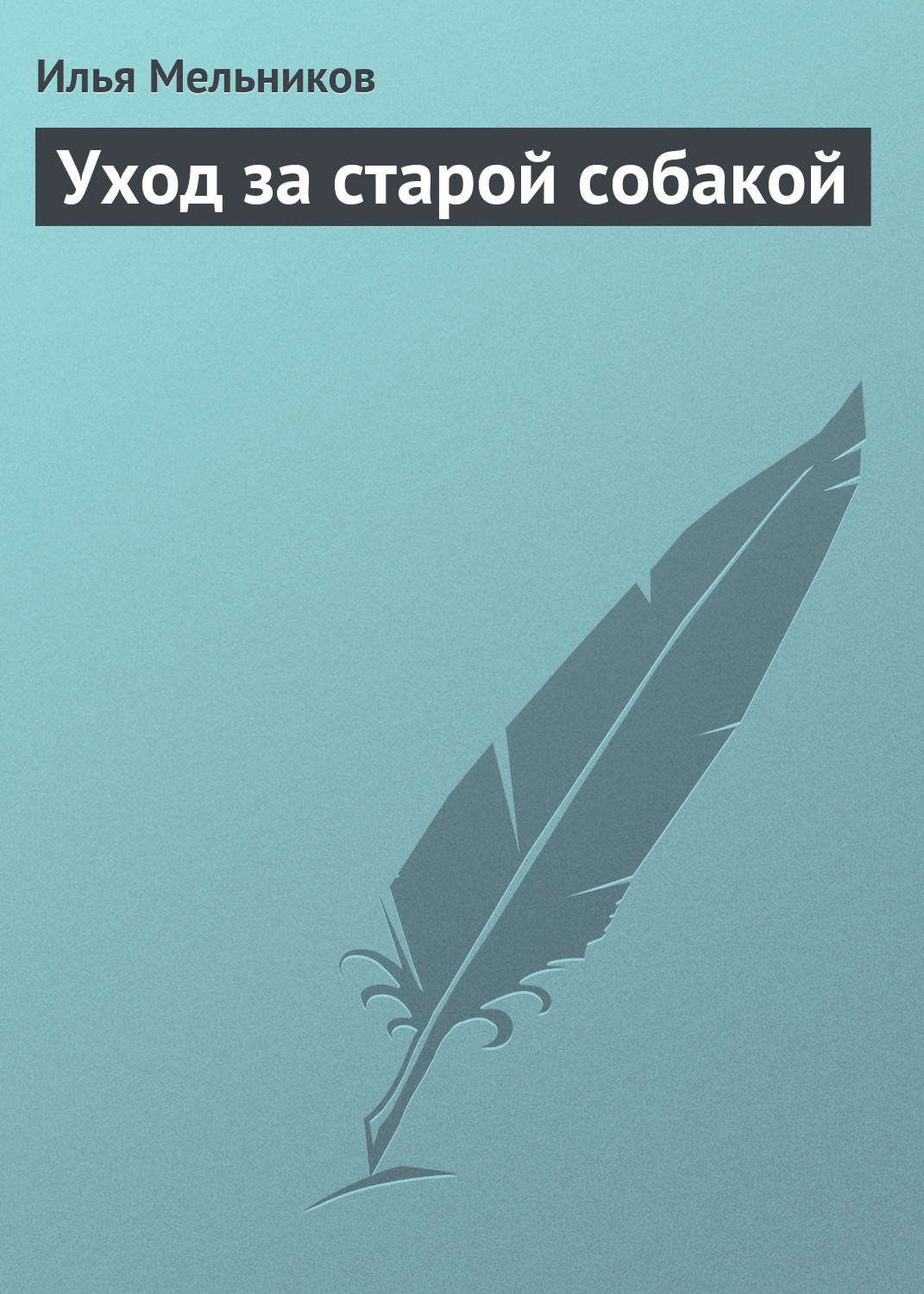 Обложка книги «Уход за старой собакой»