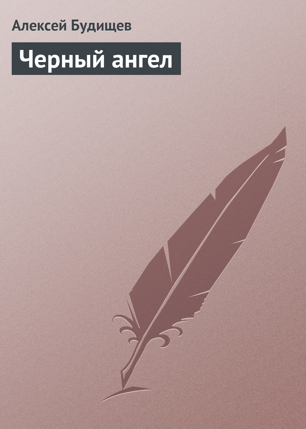Обложка книги «Черный ангел»
